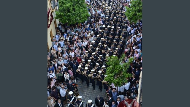 Domingo de Ramos 2015