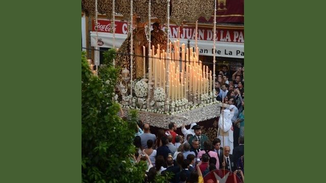 Domingo de Ramos 2015