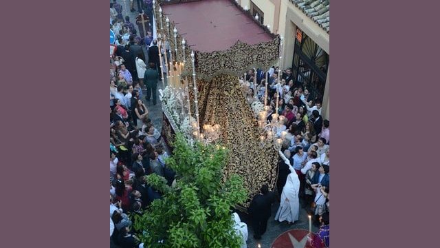 Domingo de Ramos 2015